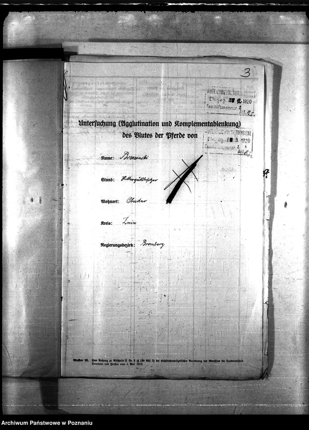 Obraz 7 z jednostki "Nosacizna - Żnin"