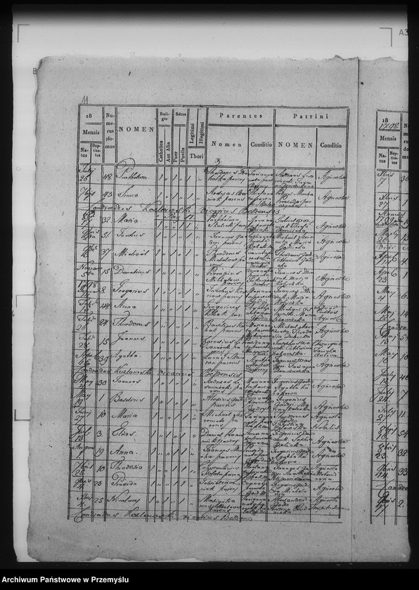 Obraz 15 z jednostki "[Kopie ksiąg metrykalnych parafii Bełz z filiami Prusinów, Tuszków, Witków (dekanat Bełz)]"