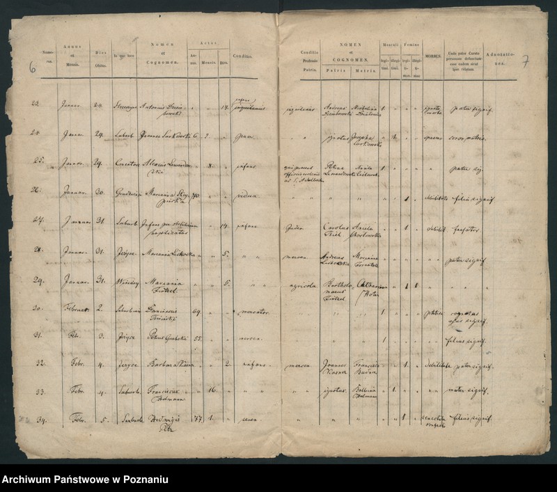 Obraz 6 z jednostki "Księga zgonów"