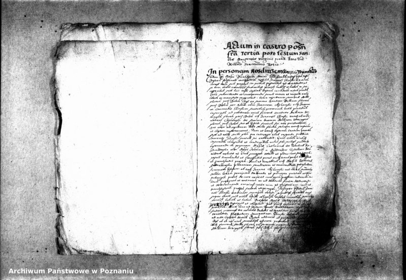 Obraz 8 z jednostki "Inscriptiones [inducta]"