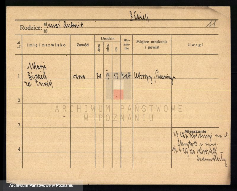Obraz 13 z jednostki "Błażek - Blober"