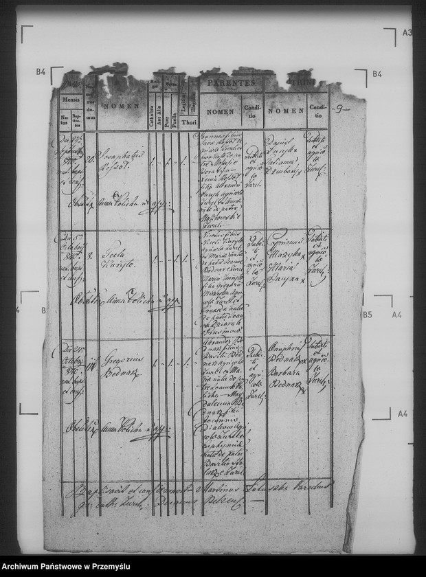 Obraz 13 z jednostki "[Kopie ksiąg metrykalnych parafii Żużel z filią Cebłów (dekanat Bełz)]"