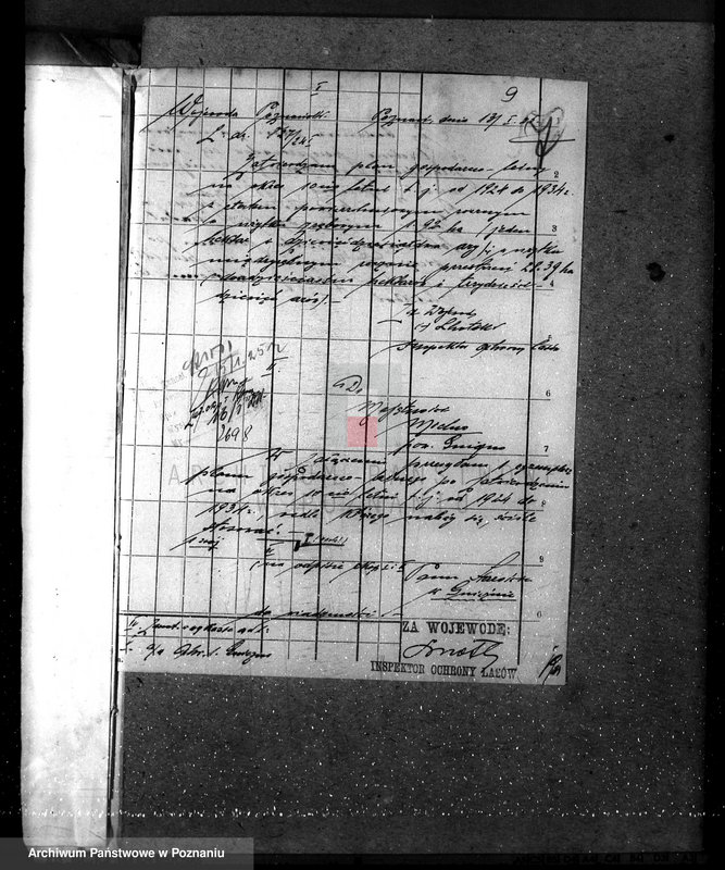 Obraz 13 z jednostki "Majętność leśna w Mielnie w powiecie gnieźnieńskim"