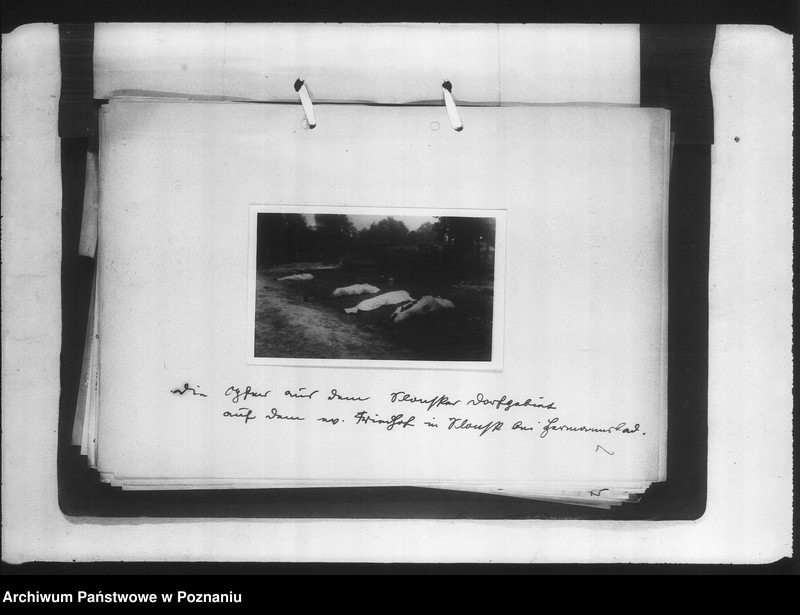 Obraz 6 z jednostki "Zweigstelle Litzmannstadt (Łódź) Aufnahmen"