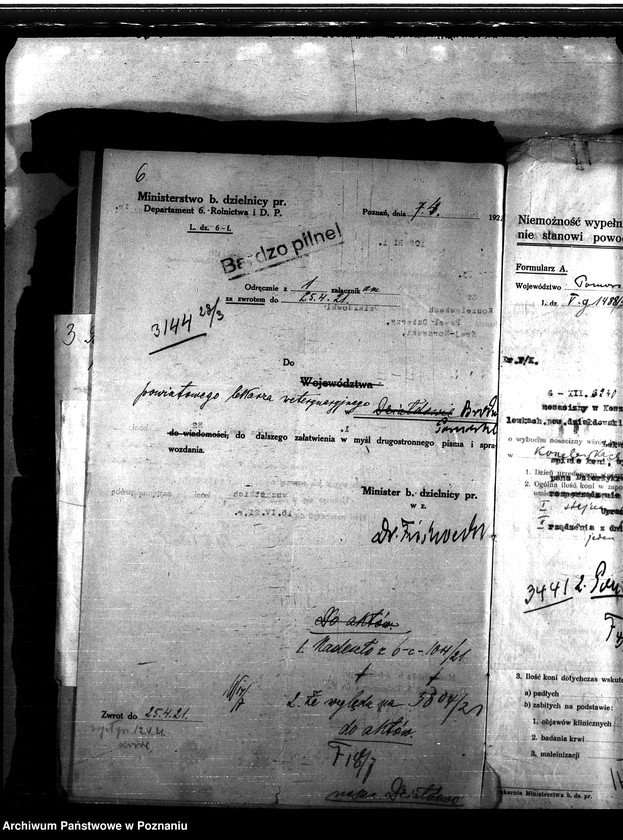 Obraz 10 z jednostki "Nosacizna - Działdowo"