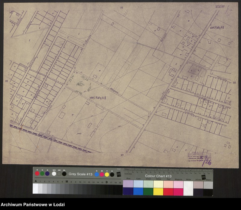 Obraz 1 z jednostki "Plan m. Łodzi 1:2000, odbitka. Sekcja NW67"