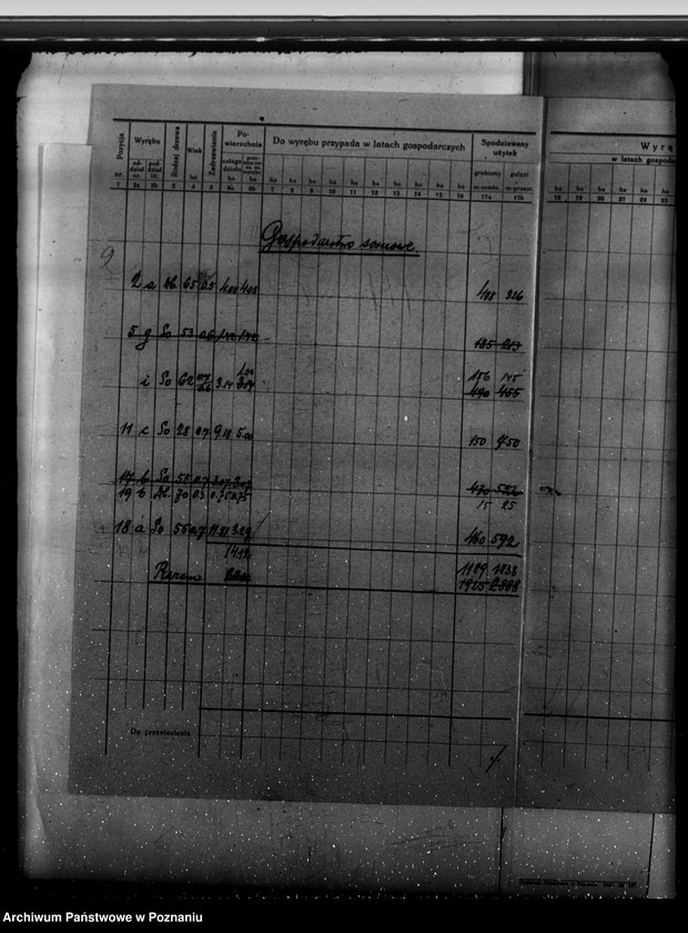 Obraz 13 z jednostki "Program urządzenia gospodarstwa leśnego dla lasu majętności Kobylepole powiat poznański 1929-1939"