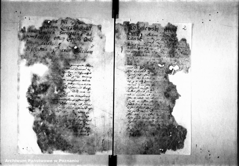 Obraz 5 z jednostki "Decreta officii [inducta]"