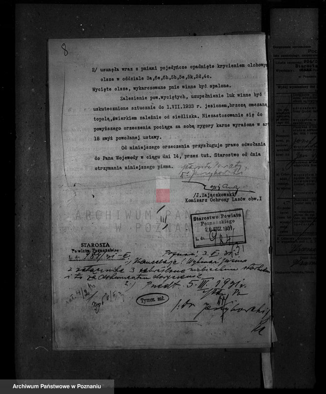 Obraz 12 z jednostki "Majętność leśna Uzarzewo powiat poznański"