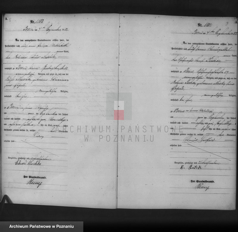 Obraz 6 z jednostki "Księga urodzeń t. IV"