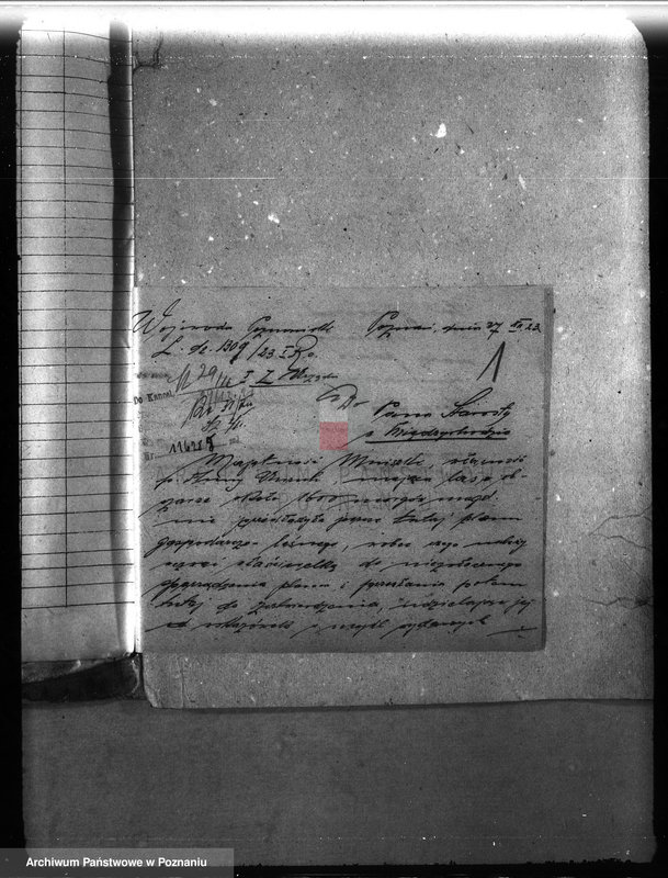 Obraz 5 z jednostki "Majętność leśna Mniszki w powiecie międzychodzkim"