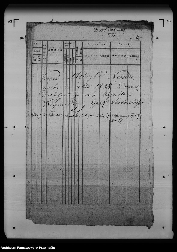 Obraz 18 z jednostki "[Kopie ksiąg metrykalnych parafii Krynica (dekanat Medenice)]"