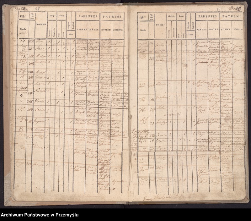 Obraz 14 z jednostki "[Księga urodzeń]"