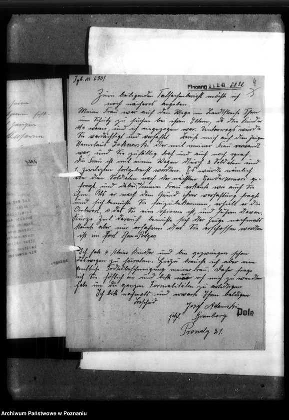 Obraz 8 z jednostki "Rozalie Adamski, geb. Syrocki, aus Bromberg (Bydgoszcz)"