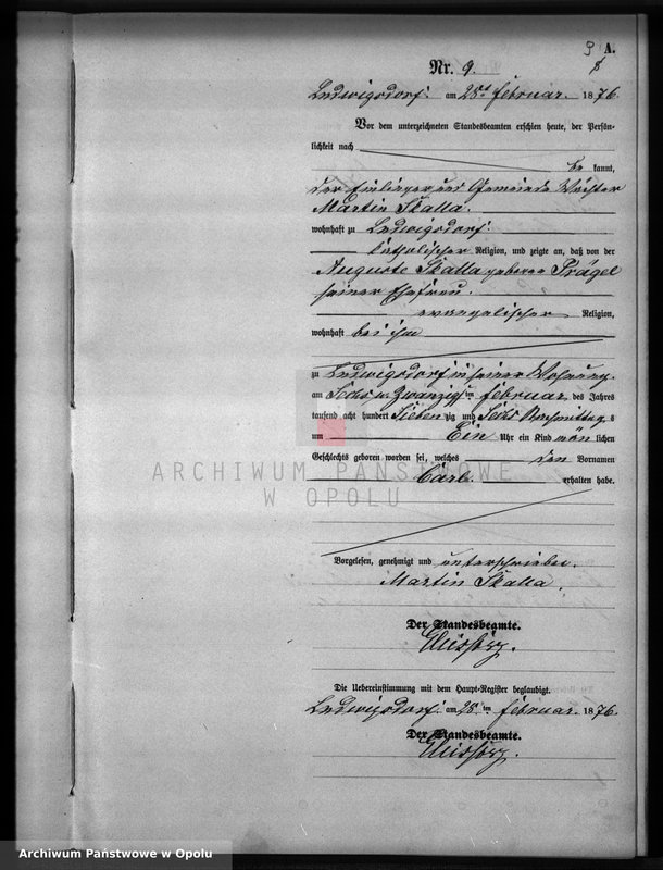 image.from.unit.number "Geburts-Neben-Register Standesamts Ludwigsdorf pro 1876"