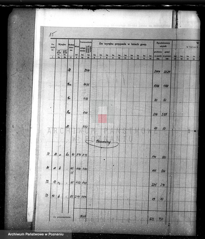 Obraz 19 z jednostki "Nadzór nad lasami/ majątku Lubasz powiatu czarnkowskiego"