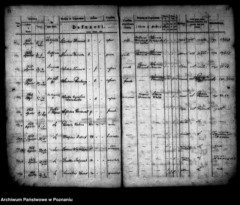 Obraz 14 z jednostki "Księga zgonów"