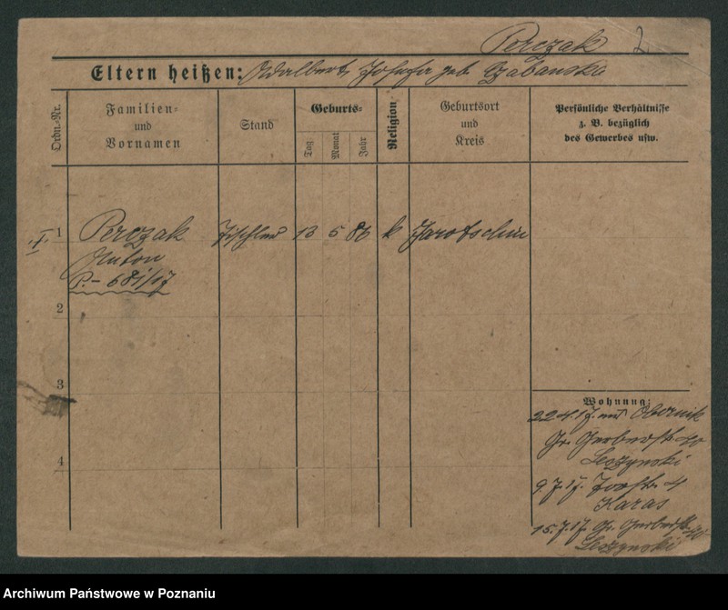 Obraz 4 z jednostki "Perczak - Perz (żonaci)"