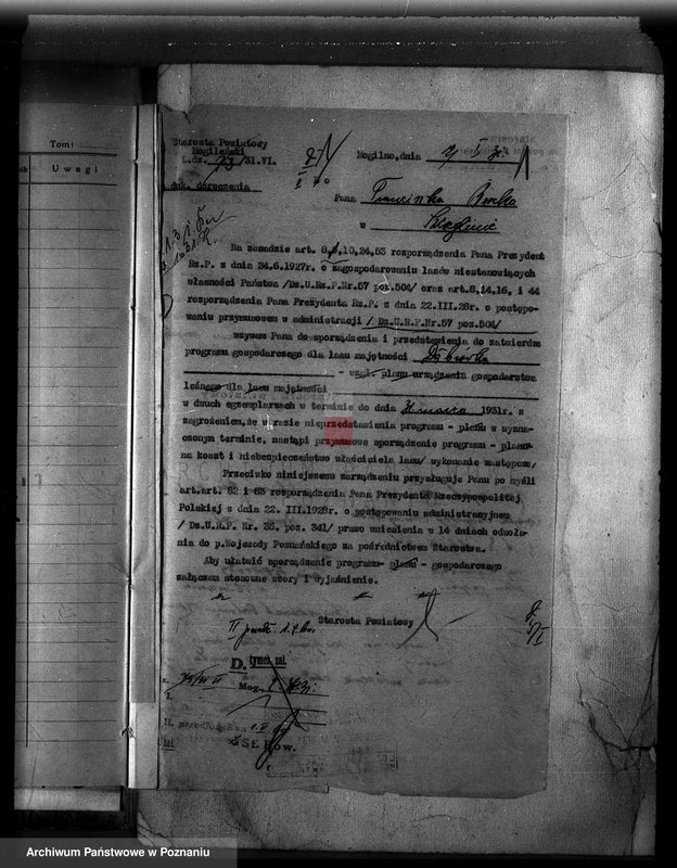 Obraz 5 z jednostki "Majętność /leśna/ Szczeglin Dąbrówka w powiecie mogileńskim"