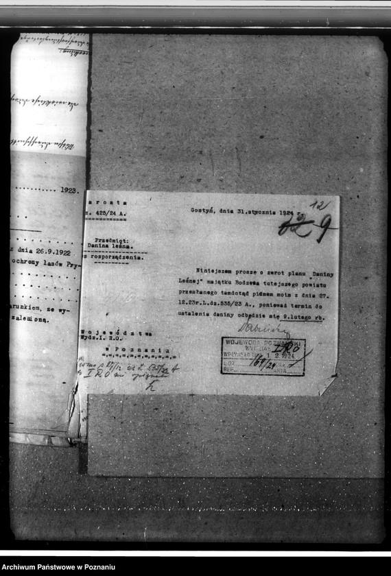 Obraz 16 z jednostki "Las fundacyjny Bodzewo w powiecie gostyńskim"