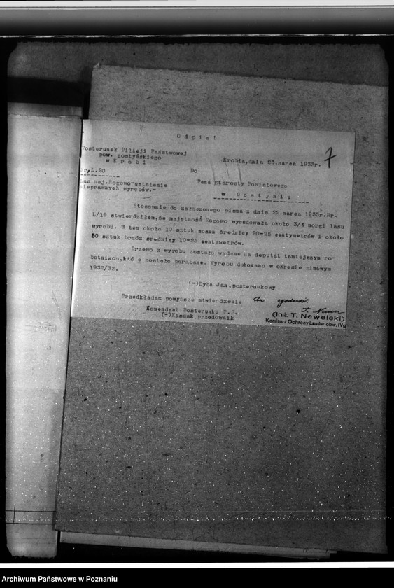 Obraz 11 z jednostki "Nadzór nad gospodarką w lasach majętności Rogowo w powiecie gostyńskim"