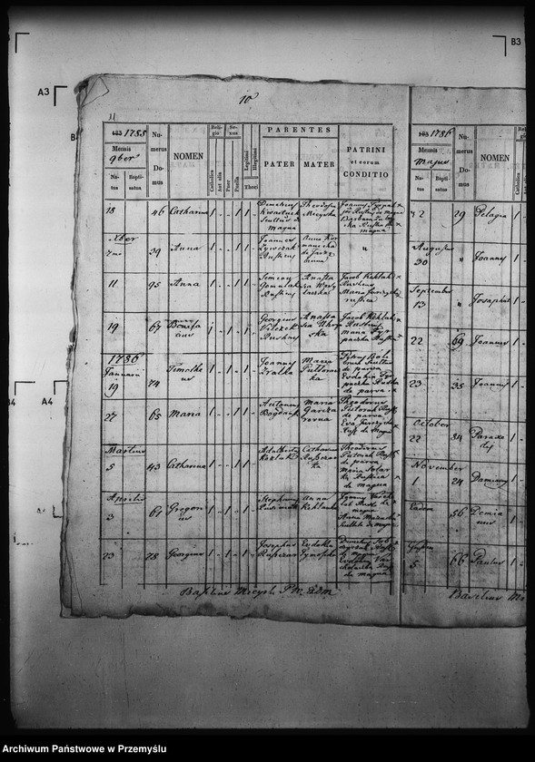 Obraz 15 z jednostki "[Kopie ksiąg metrykalnych parafii Wierzchomla Wielka z filiami Wierzchomla Mała, Zubrzyk (dekanat Muszyna)]"