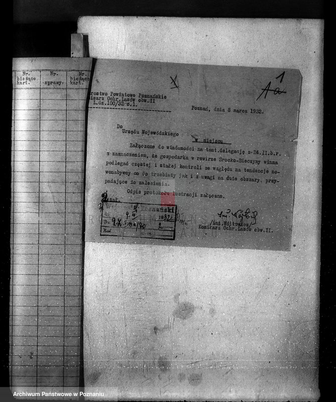 Obraz 5 z jednostki "Las majętności Bieczyny powiat kościański"