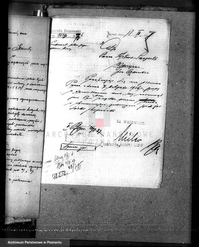 Obraz 9 z jednostki "Nadzór nad lasami majętności Maciejewo w powiecie czarnkowskim"