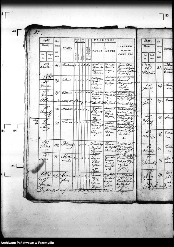 Obraz 20 z jednostki "[Kopie ksiąg metrykalnych parafii Krzywa z filią Banica (dekanat Gorlice)]"