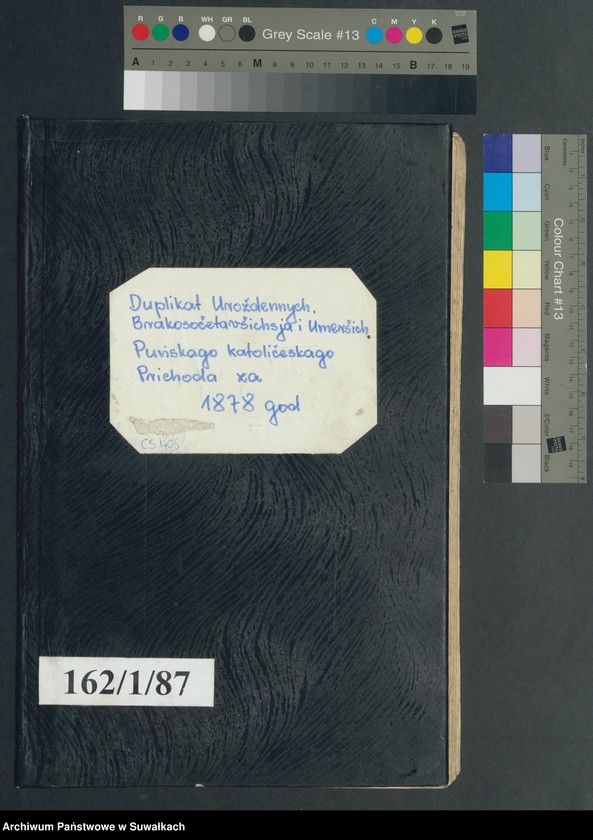 image.from.unit.number "Duplikat uroždennych, brakosocčtavšichsja i umeršich punskago katolicčeskago prichoda za 1878 god"