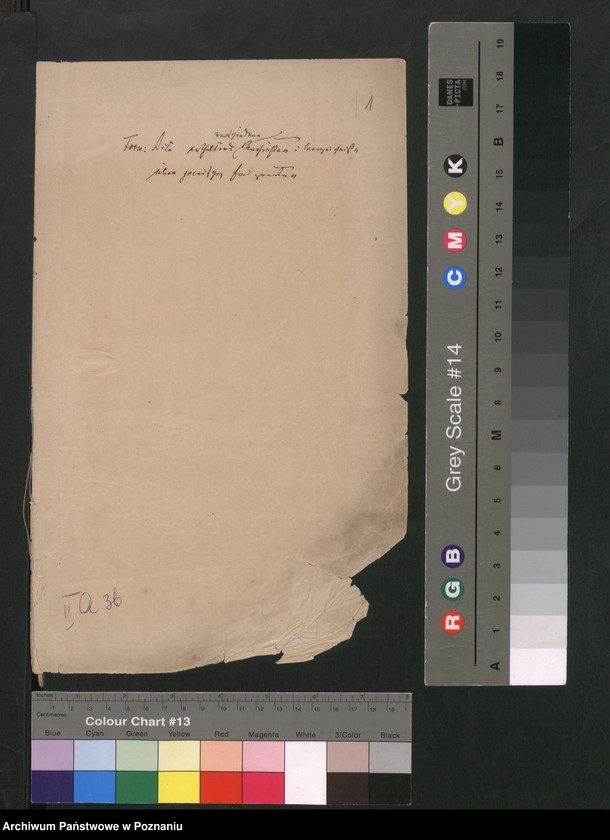 Obraz 4 z jednostki "A. betr. verschiedene Nachrichten und Verzeichnisse über polnische Emigranten"