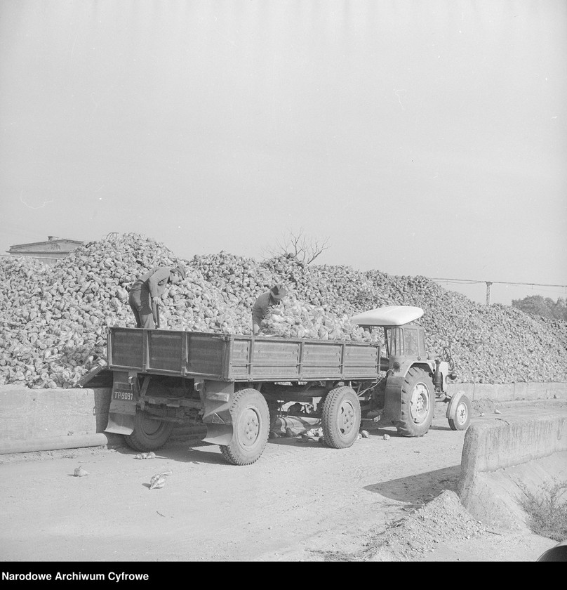 Obraz 7 z jednostki "Cukrownia "Michałów" w Lesznie koło Warszawy"