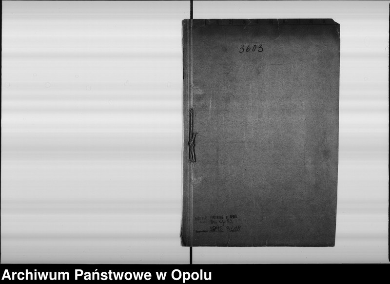 Obraz 4 z jednostki "[Budowa grobli i wałów na Bolko]"