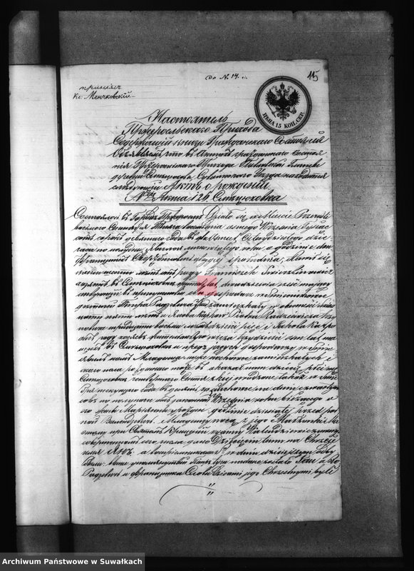 Obraz 19 z jednostki "Kniga s dokumentami Filipovskago Rimsko Katoličeskago Prichoda v 1873 godu"