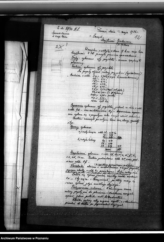 Obraz 16 z jednostki "Leśnictwo w Godurowie powiat gostyński"