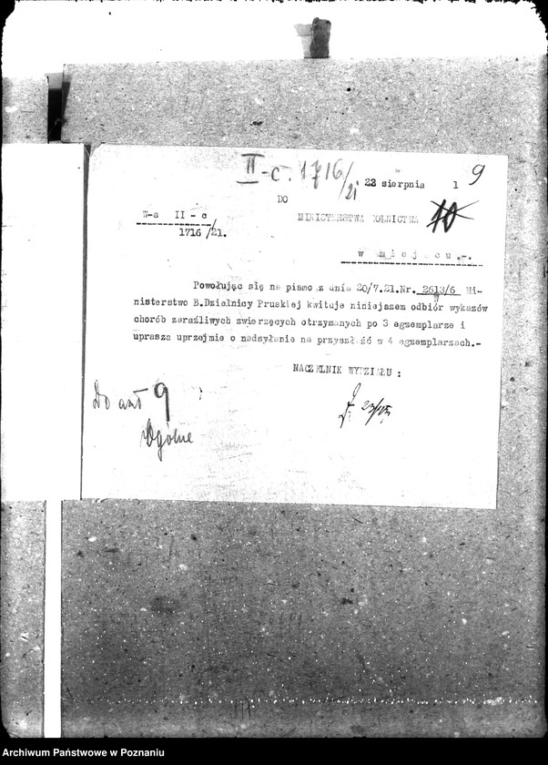 Obraz 14 z jednostki "Weterynaria"