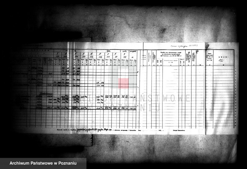 Obraz 16 z jednostki "Operat szacunkowy majątku Czajcze powiatu wyrzyskiego"