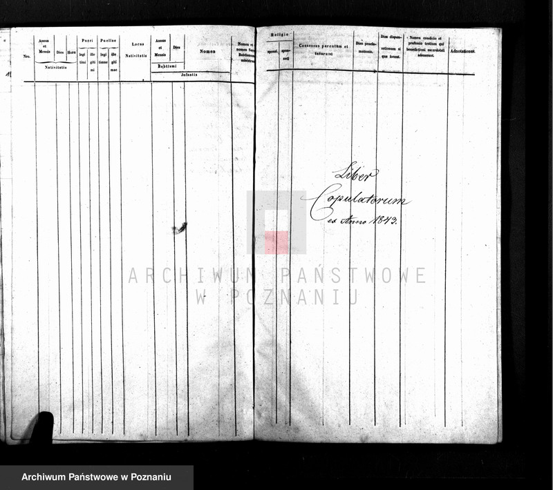 Obraz 9 z jednostki "Duplikat baptisatorum, copulatorum, mortuorum"