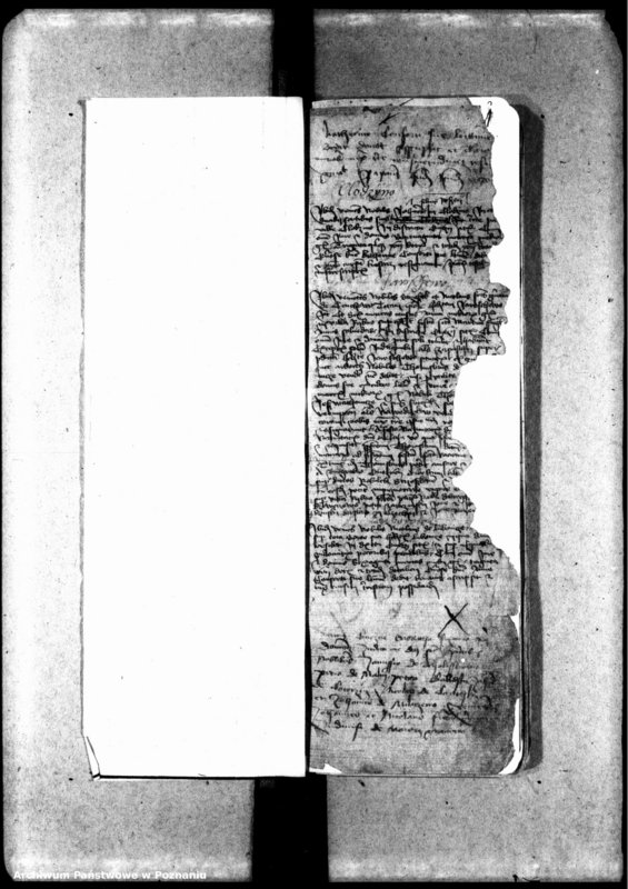 Obraz 5 z jednostki "Resignationes [protocollon]"