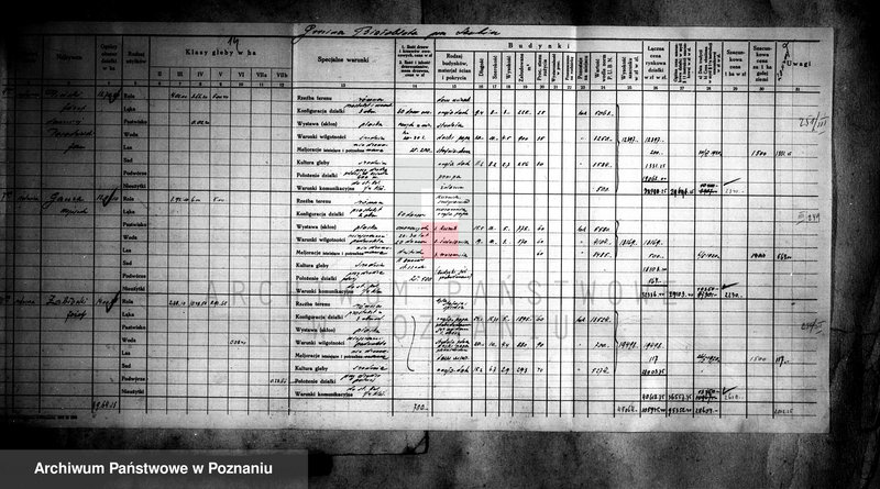 Obraz 20 z jednostki "Operat szacunkowy majątku Białebłota powiatu szubińskiego"