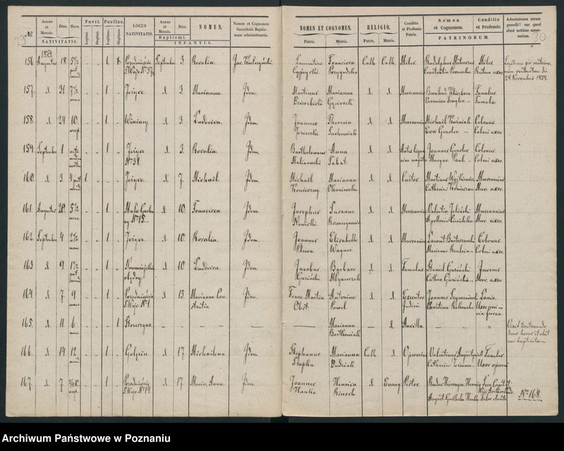 Obraz 19 z jednostki "Księga urodzin"