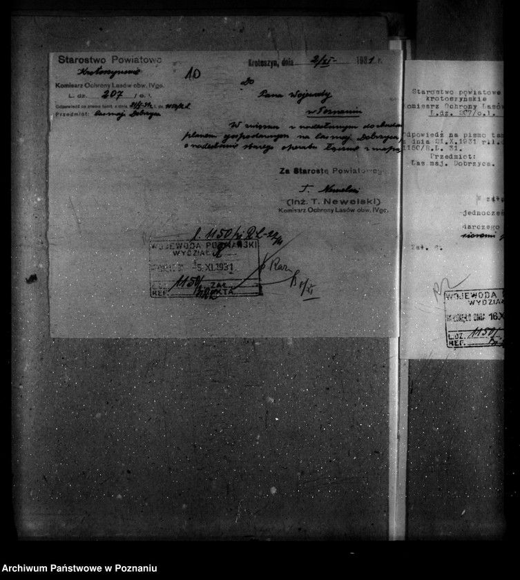 image.from.unit.number "Majętność leśna Dobrzyca powiat krotoszyński"