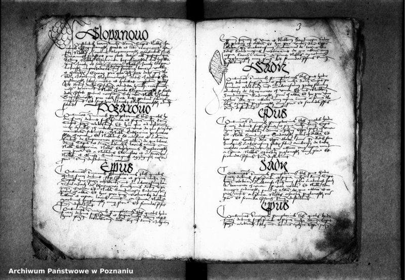 Obraz 6 z jednostki "Inscriptiones, relationes, decreta [inducta]"