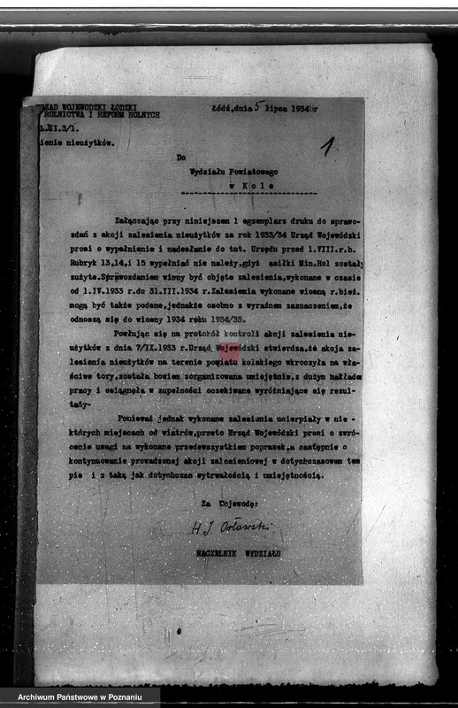 Obraz 5 z jednostki "Zalesienie nieużytków w powiecie kolskim"