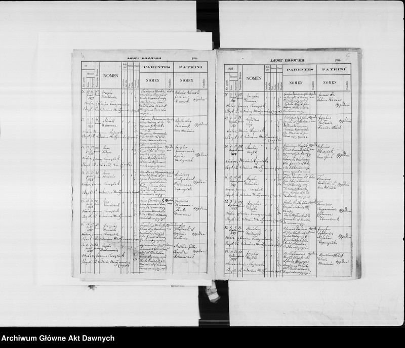 image.from.unit.number "Parafia: Janów Trembowelski. Dekanat: Trembowla. Księga metrykalna urodzeń 1888-1889, 1891, 1893-1902, ślubów 1888-1889, 1891, 1893-1898, 1900-1902 i zgonów 1888-1889, 1891, 1893-1902 dla miasta Janów i wsi: Kobyłowłoki* i Papiernia*, Słobódka i Zniesienie, Dereniówka, Dołhe, Młyniska*, Podhajczyki**, Wybranówka**."