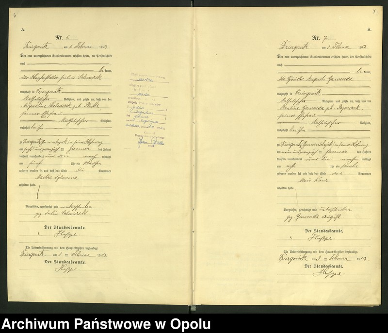 Obraz 7 z jednostki "Urząd Stanu Cywilnego Dziergowice Księga urodzeń rok 1903-05"