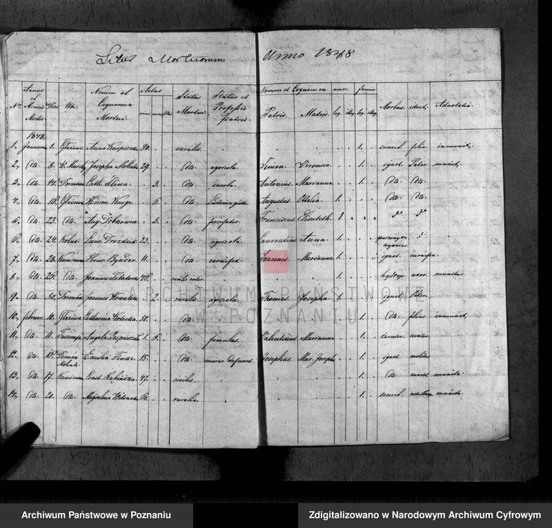 Obraz 12 z jednostki "Duplikat baptisatorum, copulatorum, mortuorum"