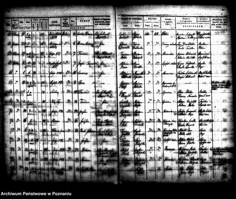 Obraz 7 z jednostki "Księga urodzin"