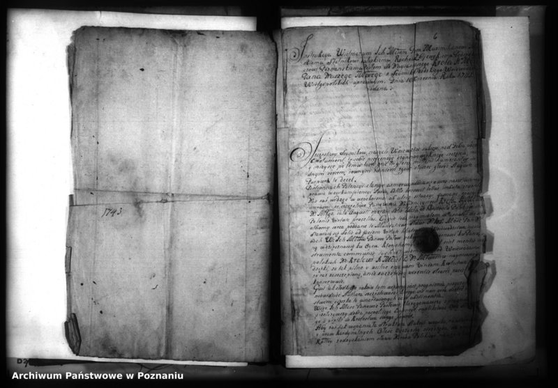 Obraz 8 z jednostki "Lauda [acticantia]"