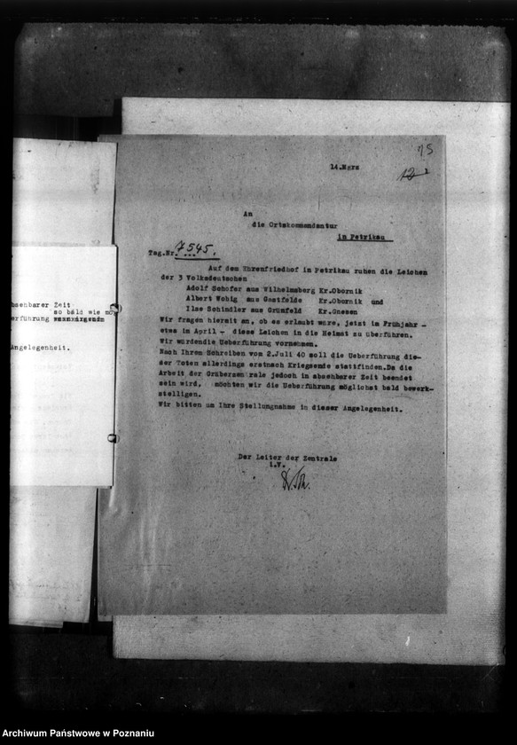 Obraz 19 z jednostki "Gräber in Petrikau (Piotrków Trybunalski)"